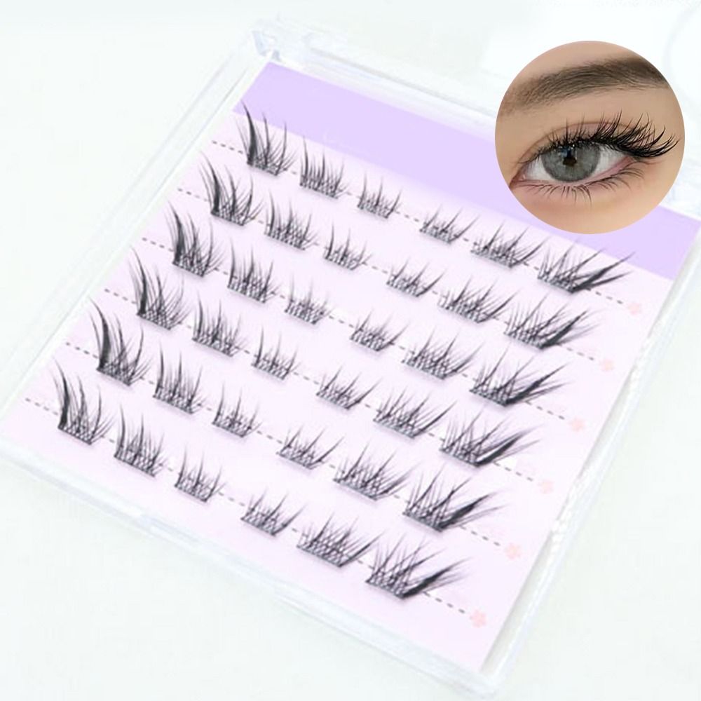 Eyelash Extension Cat Eye Wispy - جديد ثلاثية الأبعاد عين القط رموش