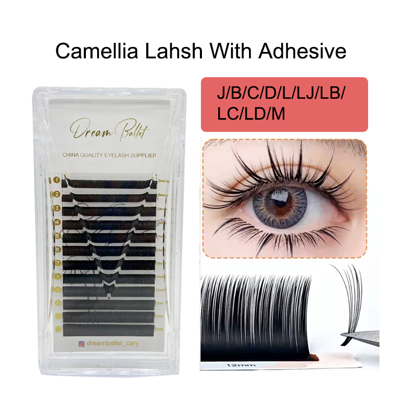 Eyelash Extension For Asian Eyes - رموش كاميليا من دريم باليت مع