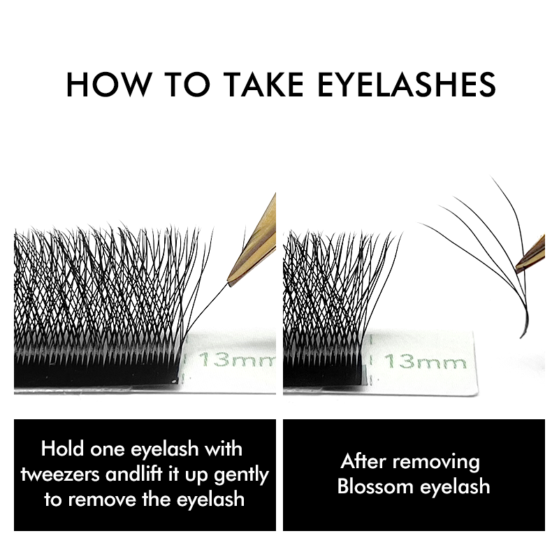 NATUHANA W-شكل 4D 5D حجم رمش م - مراجعة Eyelash Extension For Asian Eyes وسعره