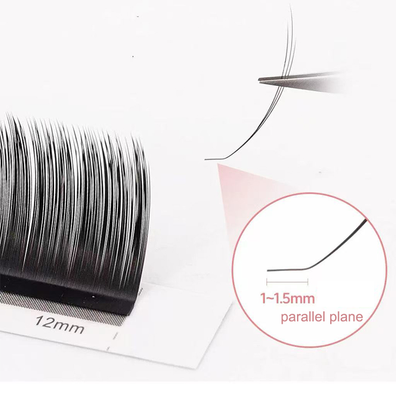 رموش كاميليا من دريم باليت مع  - مراجعة Eyelash Extension For Asian Eyes وسعره