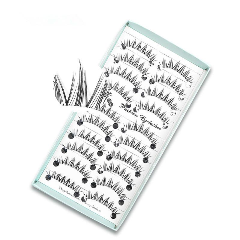10 أزواج من الرموش الصناعية ال - مراجعة Eyelash Extension Cat Eye Wispy وسعره
